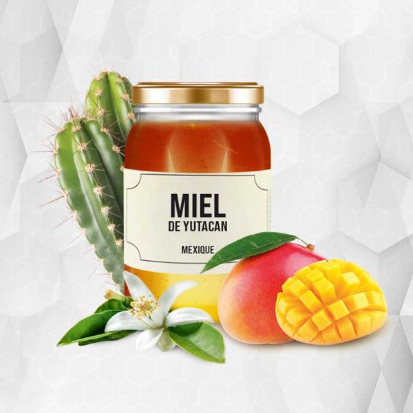 Organic yutacan honey - Mexico