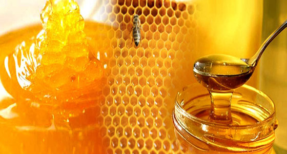 All about honey